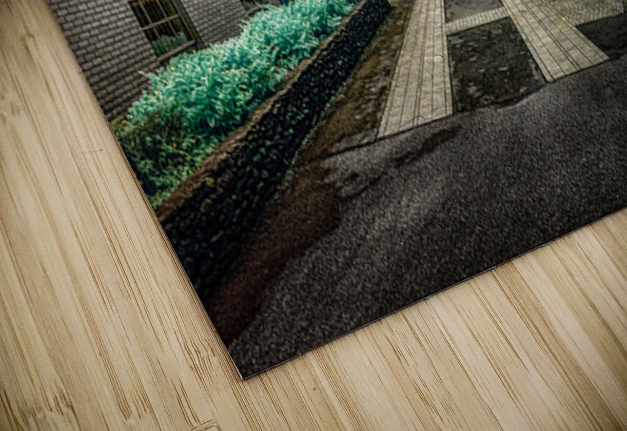 Echoes of History: Uncovering Lynchburgs Historic Bidding Drive  Dream World Images Puzzle