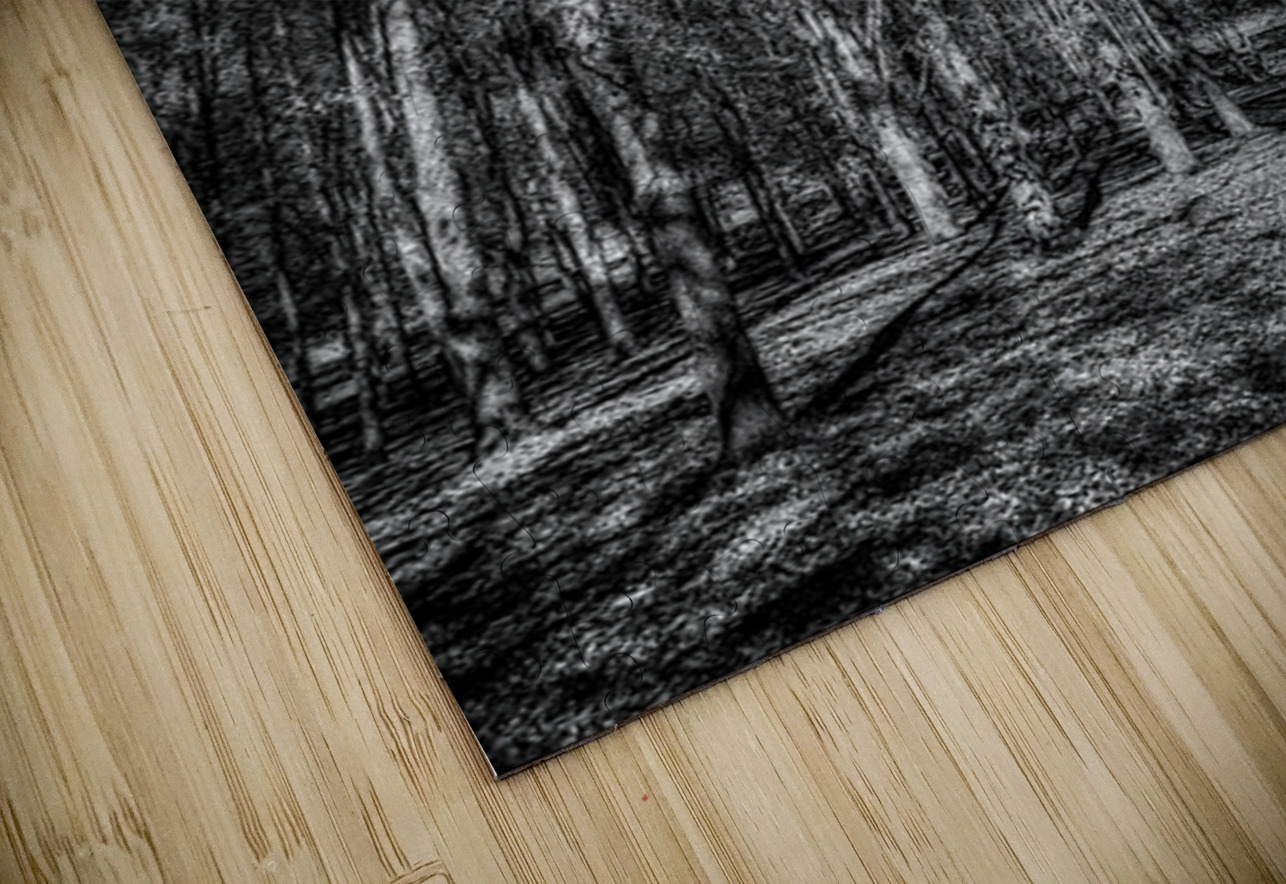 Tall Dark Symphony: A Winters Tale in Infrared Black and White Dream World Images Puzzle