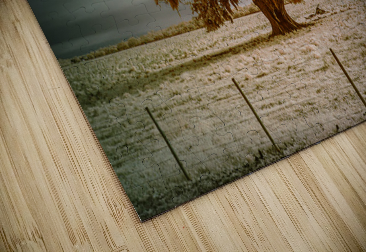 Southern Sentinel: Live Oaks Dream Dream World Images Puzzle