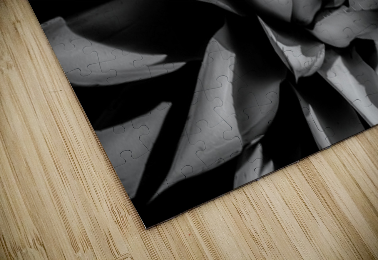 Silent Symphony of Leafy Angles Dream World Images Puzzle