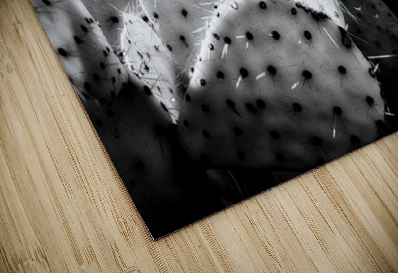 Textures of the Desert Dream World Images Puzzle