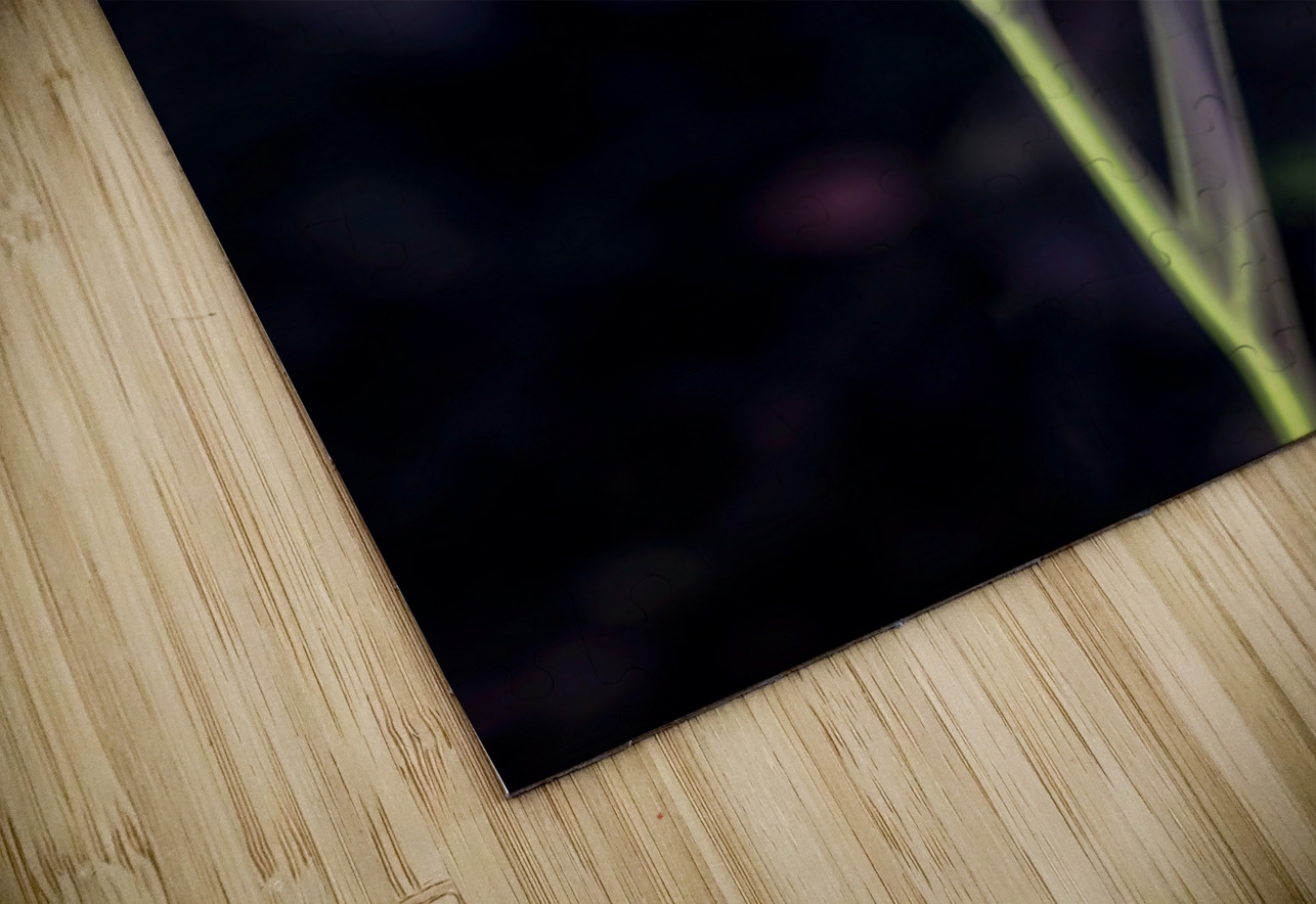 Pink Petals Eloquent Contrast Dream World Images Puzzle