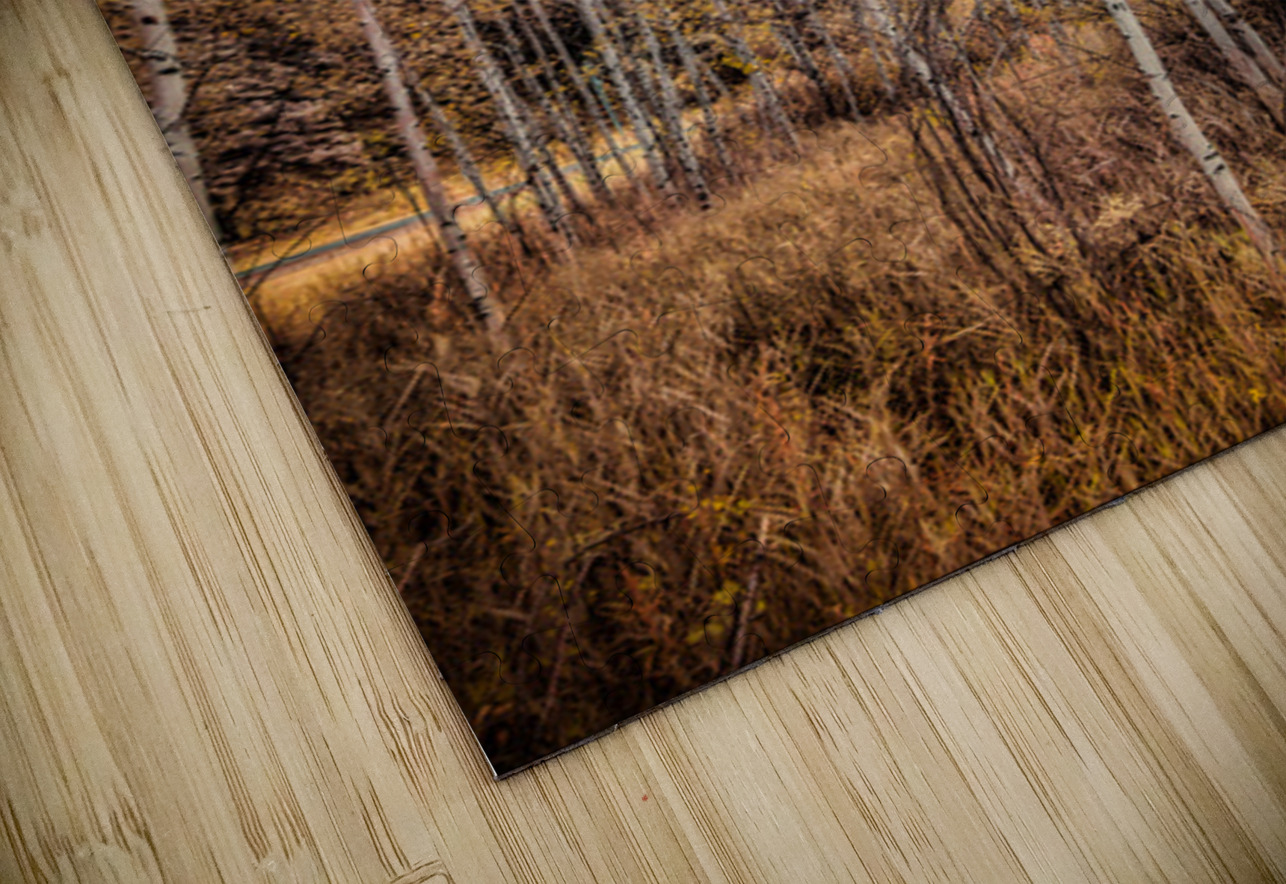 Serenade of Fall Foliage Dream World Images Puzzle