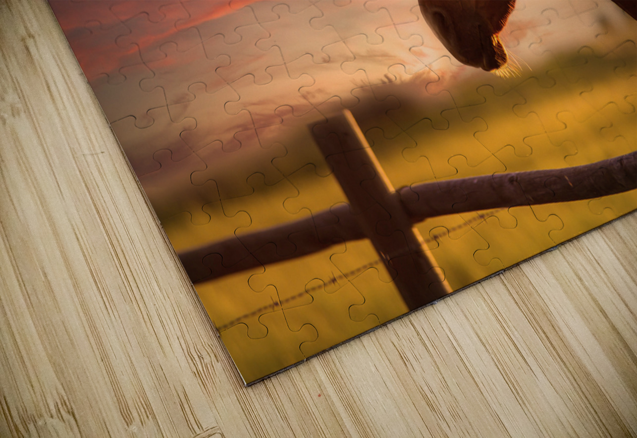 Dreams Beyond the Fence Dream World Images Puzzle