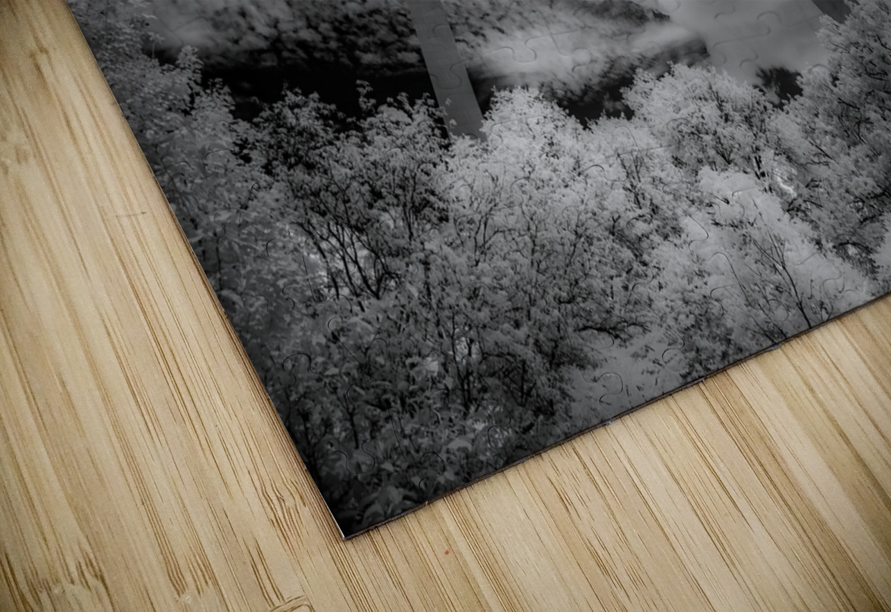 Infinite Curves in Saint Louis Dream World Images Puzzle