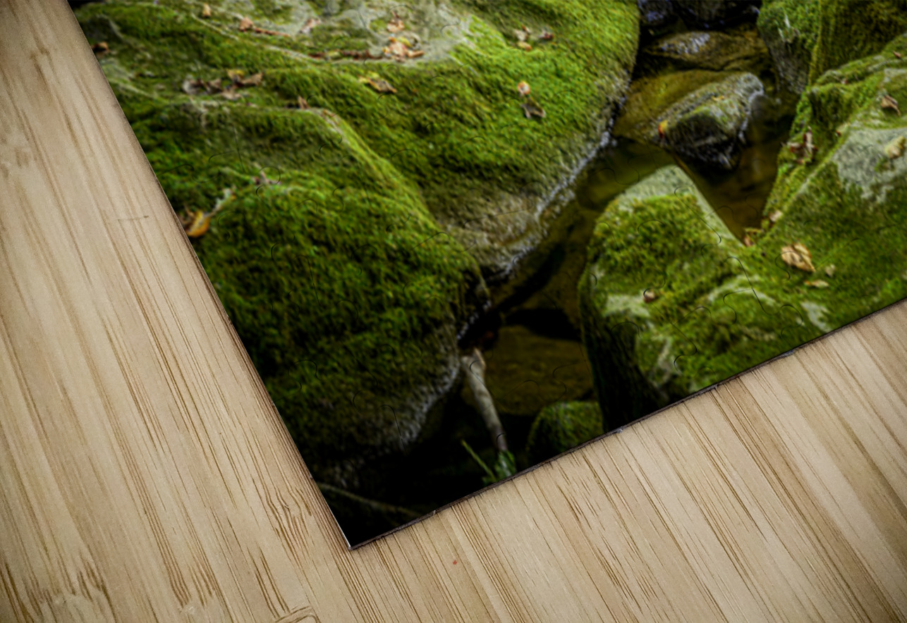 Silent Symphony of Flow Dream World Images Puzzle