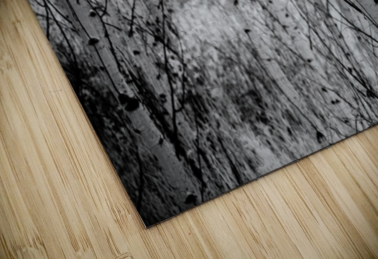 Contrasts in Woodland Quiet Dream World Images Puzzle