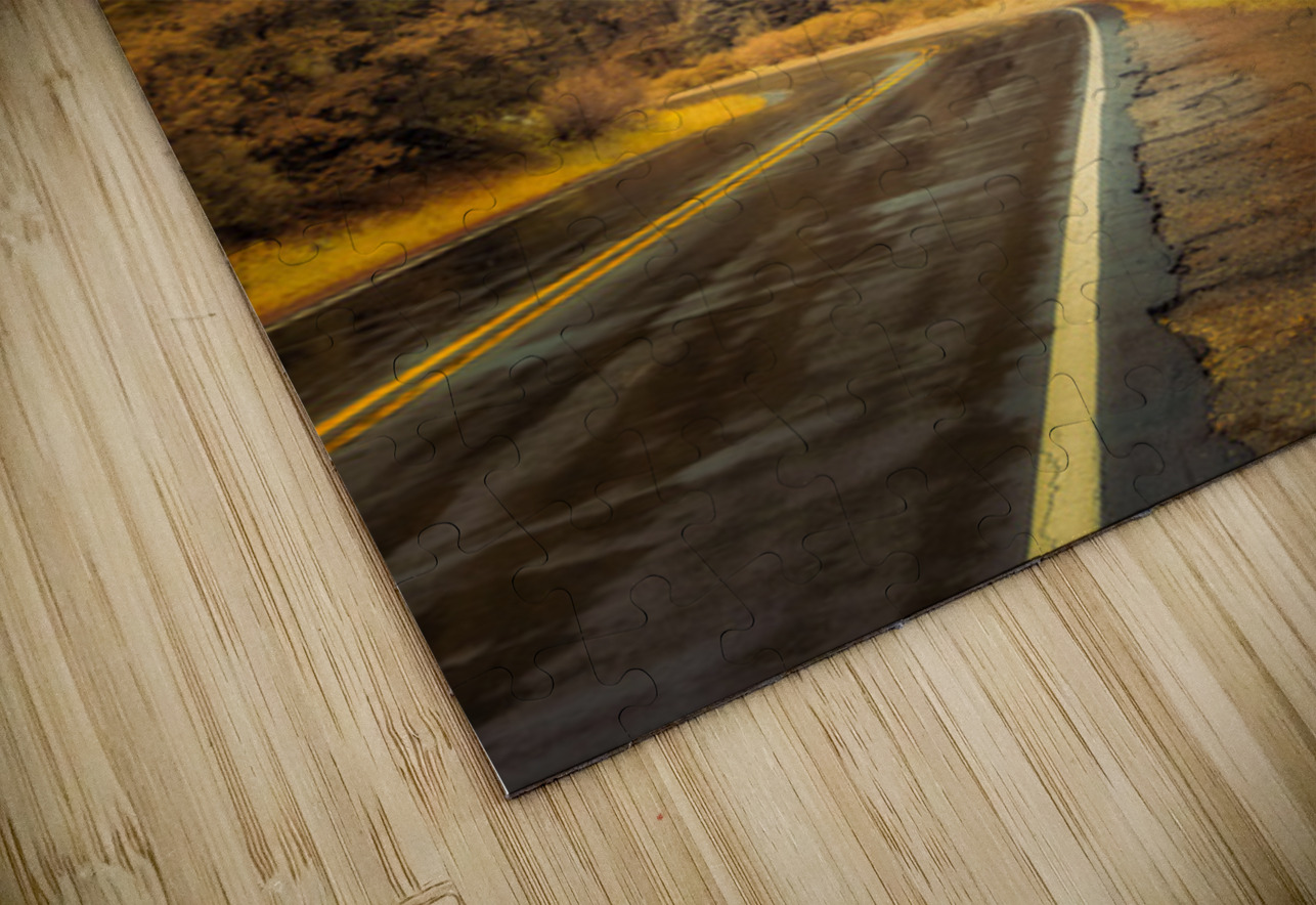 Reflections of a Rain Kissed Road Dream World Images Puzzle