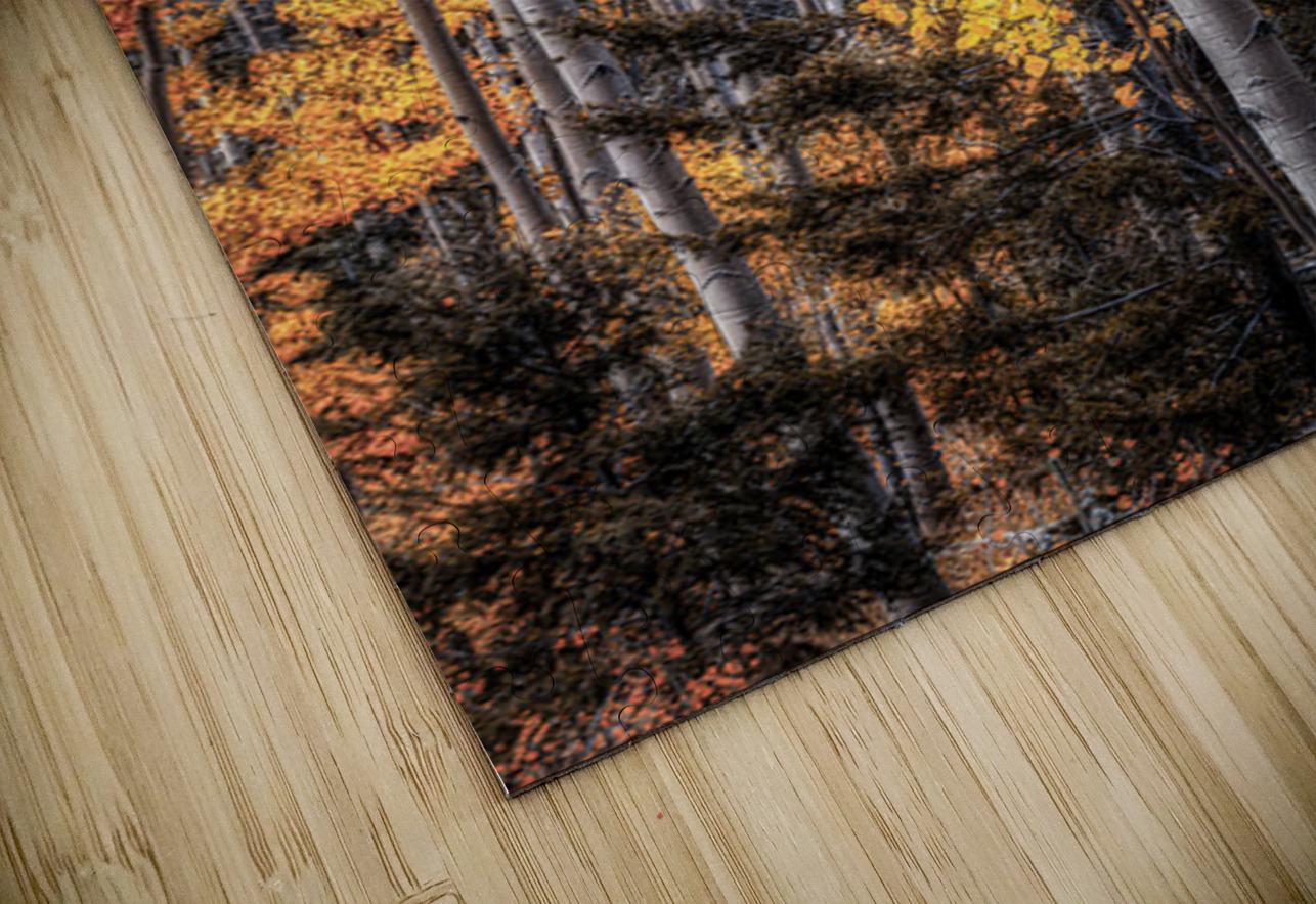 Warmth Amidst the Shadows Dream World Images Puzzle