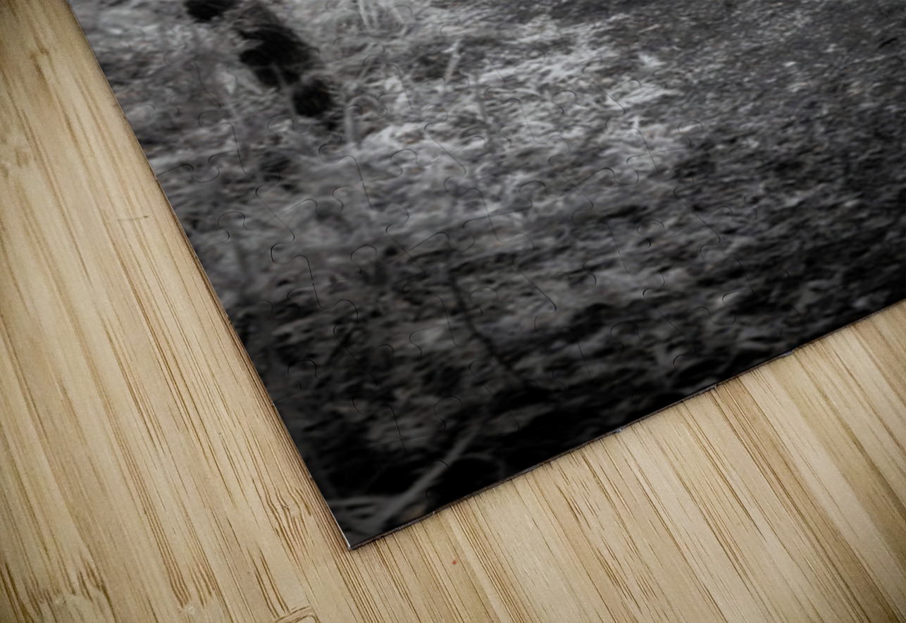 Twilight Reverie: Pathways in Shadow and Light Dream World Images Puzzle