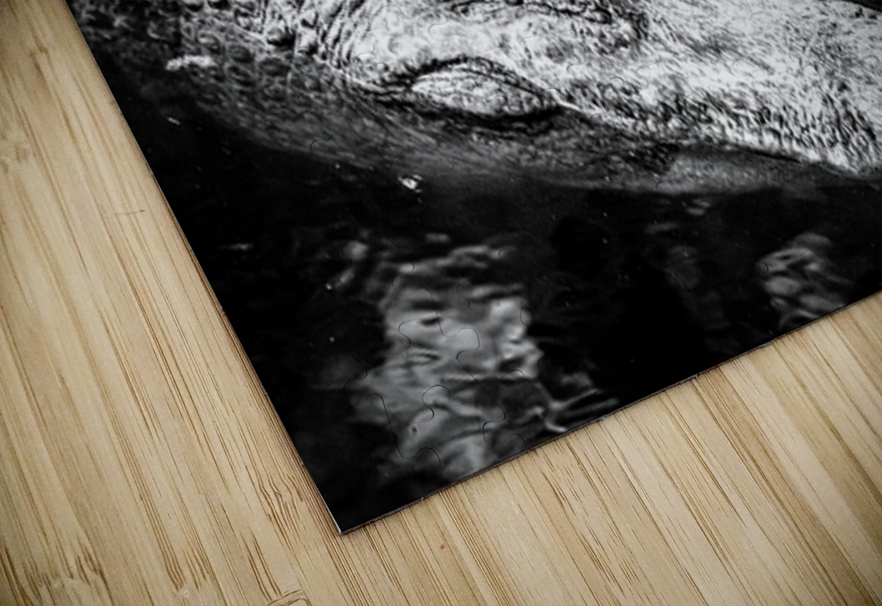 Old Eyes Dark Water Dream World Images Puzzle