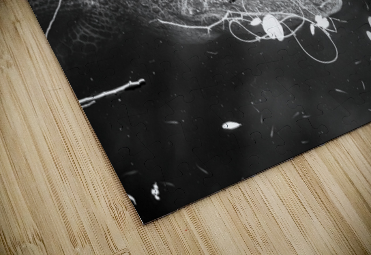 Drift Then Silence Dream World Images Puzzle