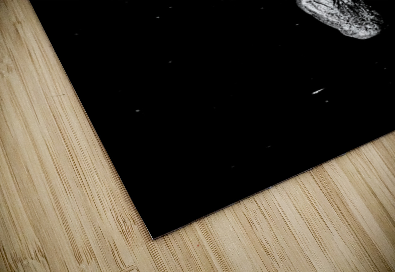 Two Shadows One Current Dream World Images Puzzle