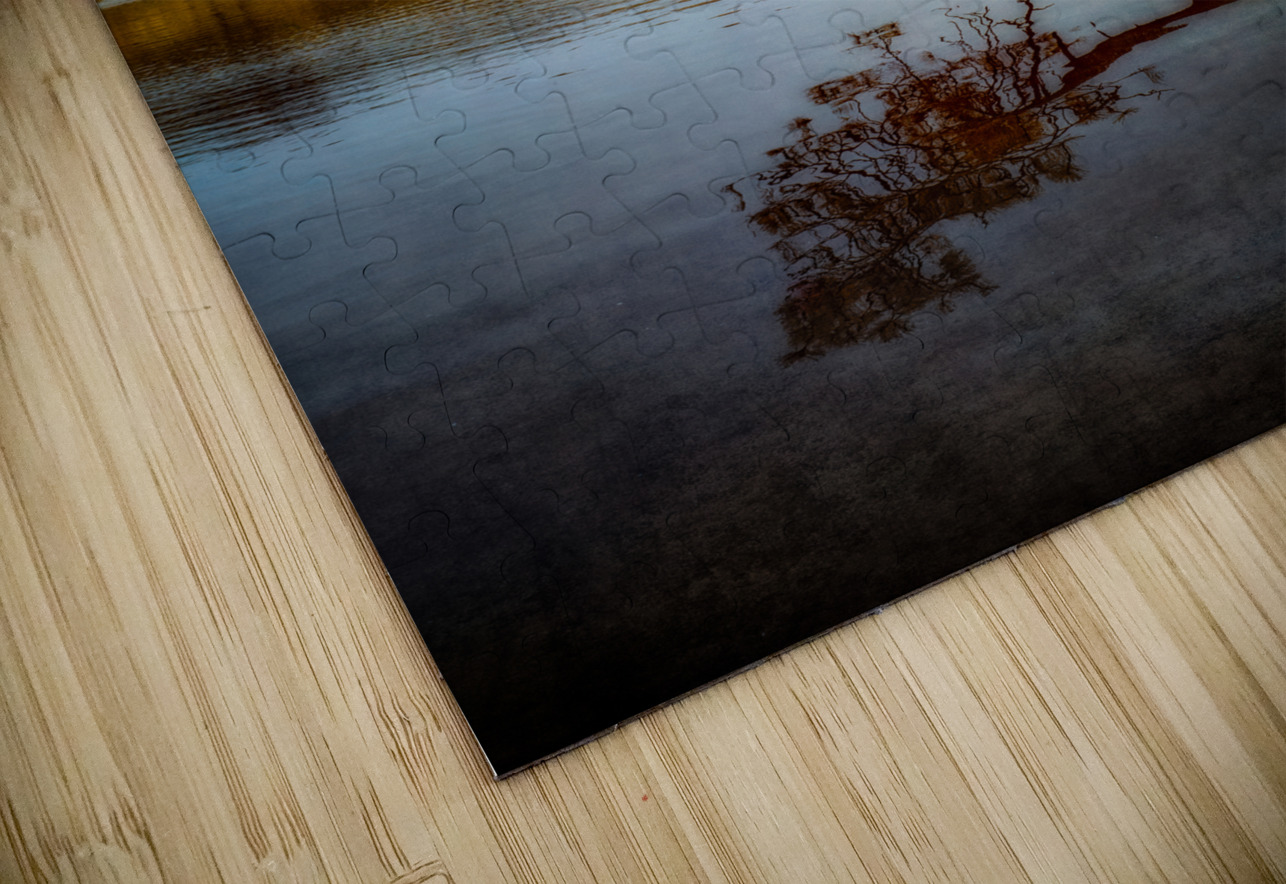 Shadows and Reflections: Overhanging Trees on Center Lake Dream World Images Puzzle