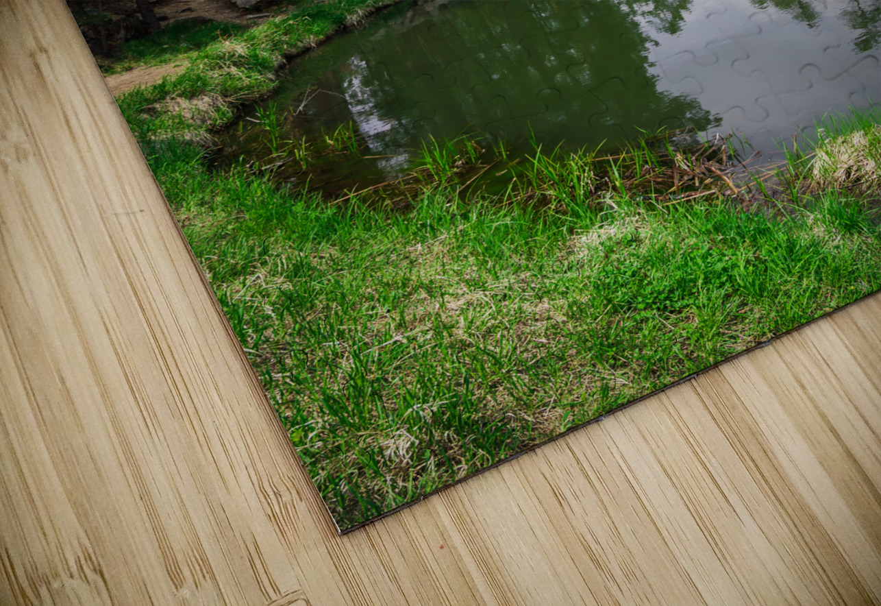 Whispers of Nature: Exploring Grace Coolidge Lakes Serenade of Silence Dream World Images Puzzle