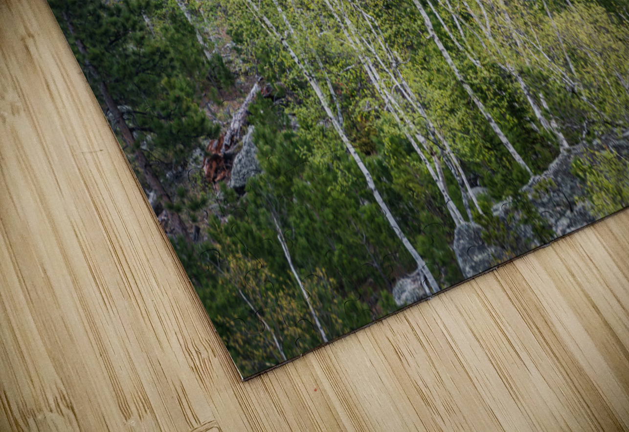 Apsen Grove on a Hill Dream World Images Puzzle