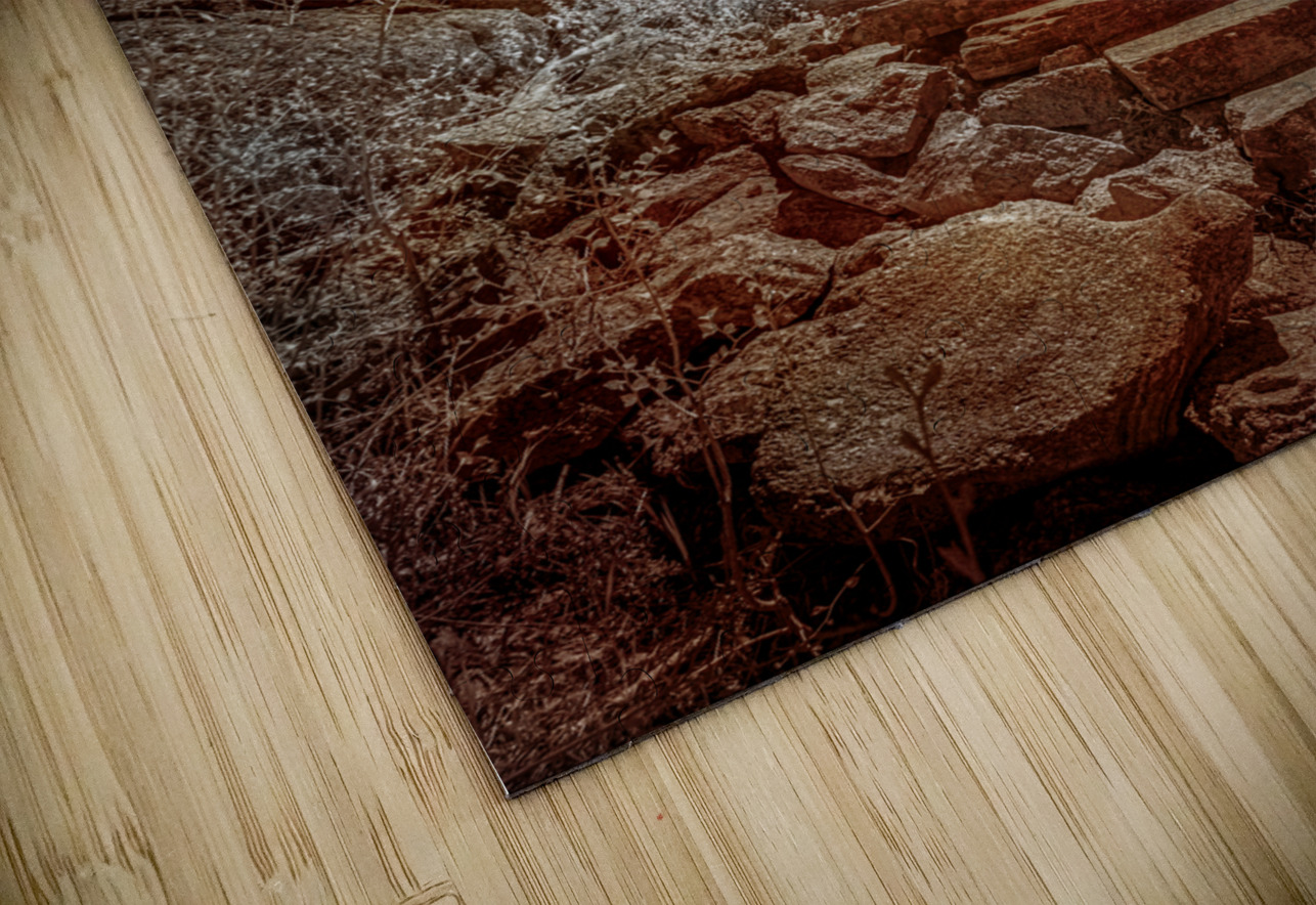 Stairway to Tranquility: Exploring Sylvan Lake South Dakota Dream World Images Puzzle