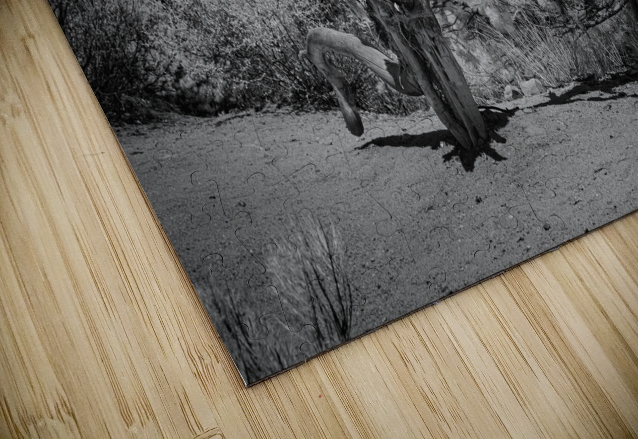 Mountain Guardians Rest Dream World Images Puzzle