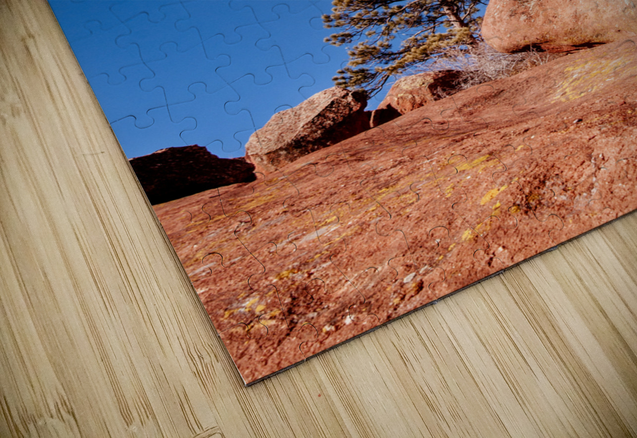 Peace Dream World Images Puzzle