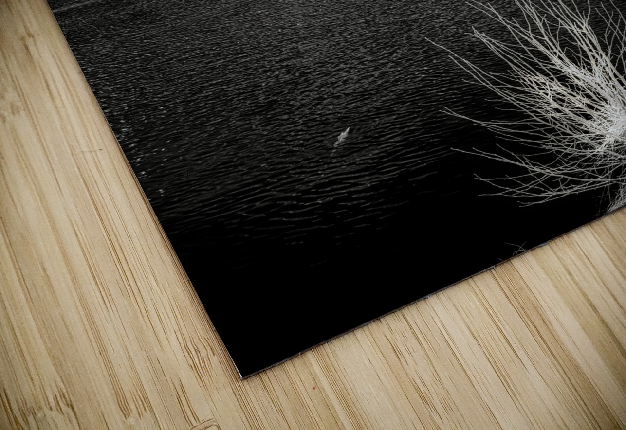 Whispers in the Wilderness: Sprague Lake Dream World Images Puzzle