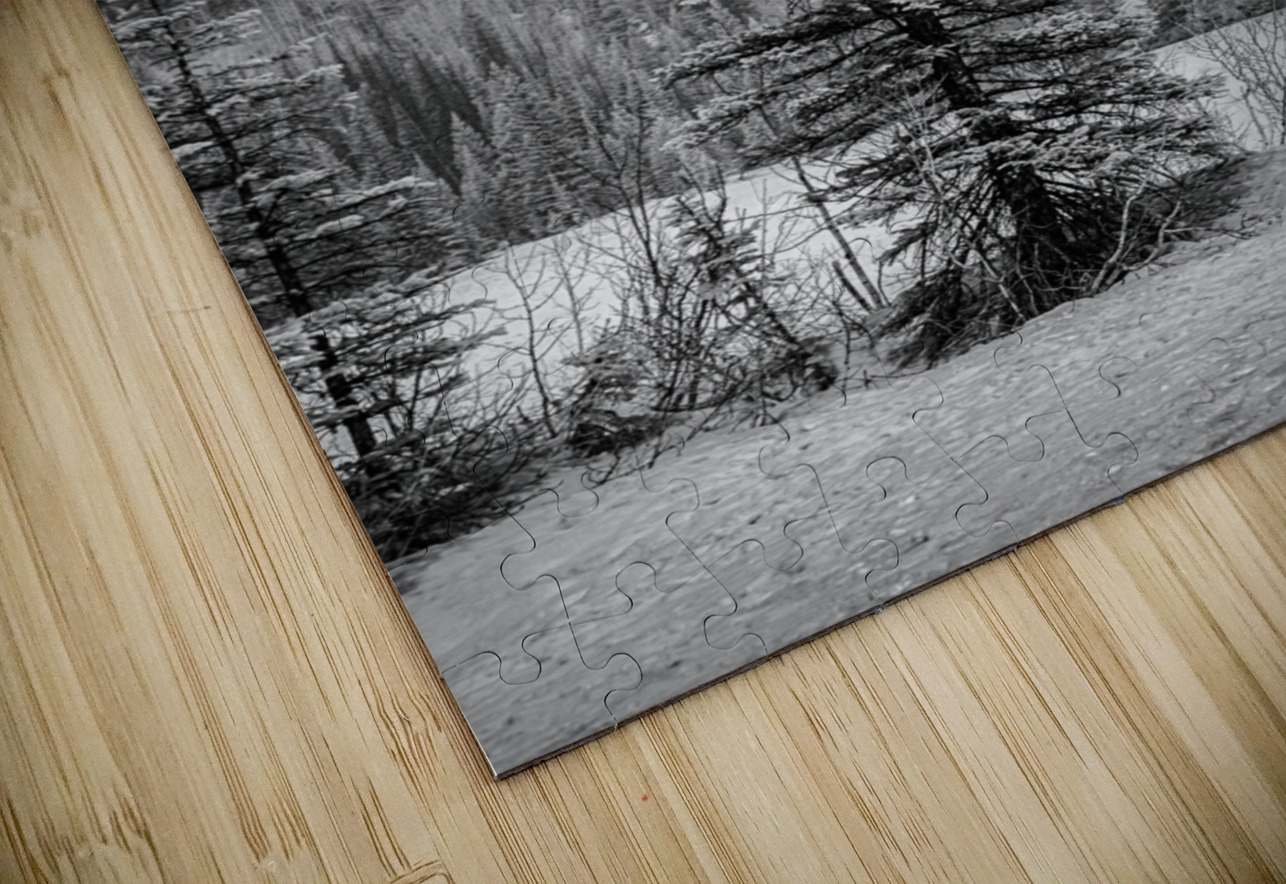 Lone Snowy Pine Dream World Images Puzzle