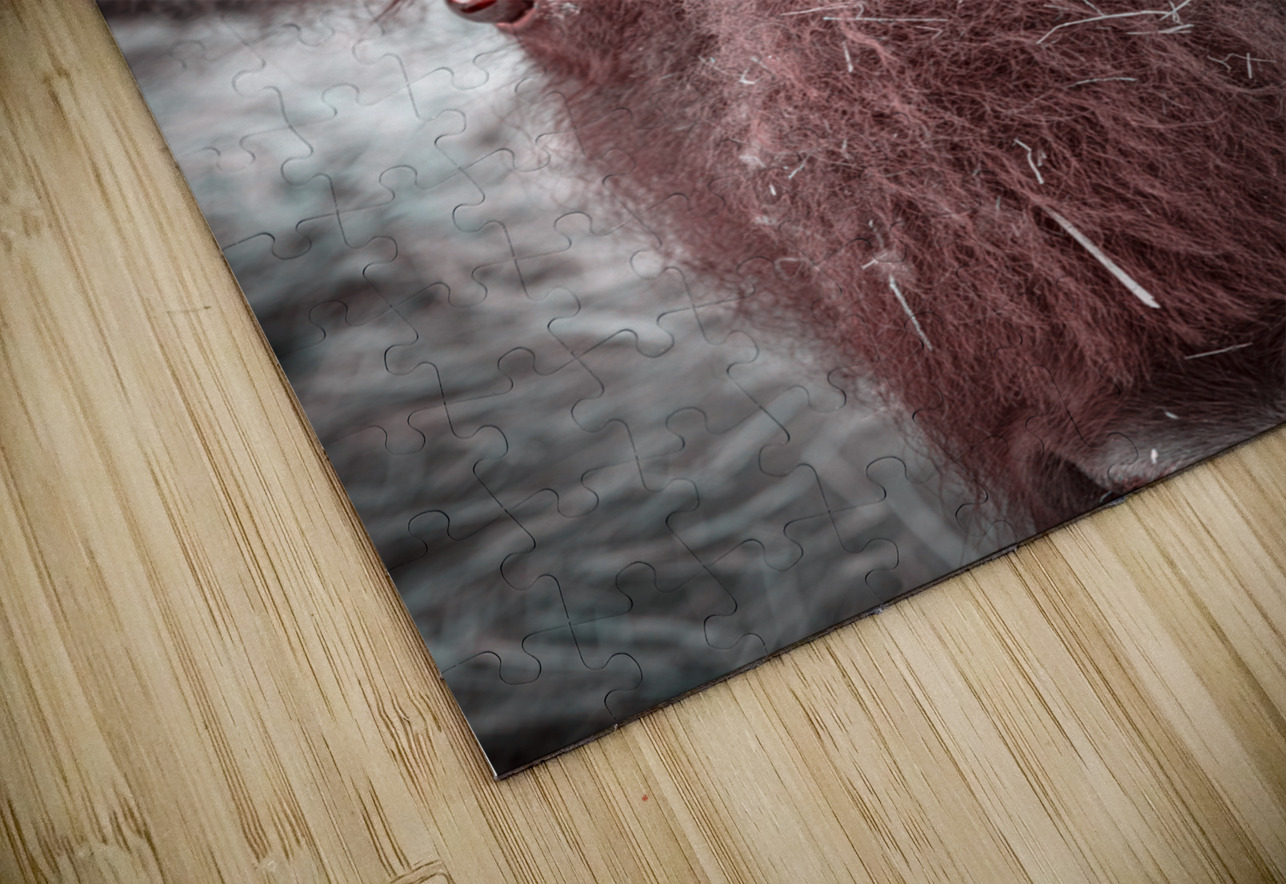 Unkempt Elegance Dream World Images Puzzle