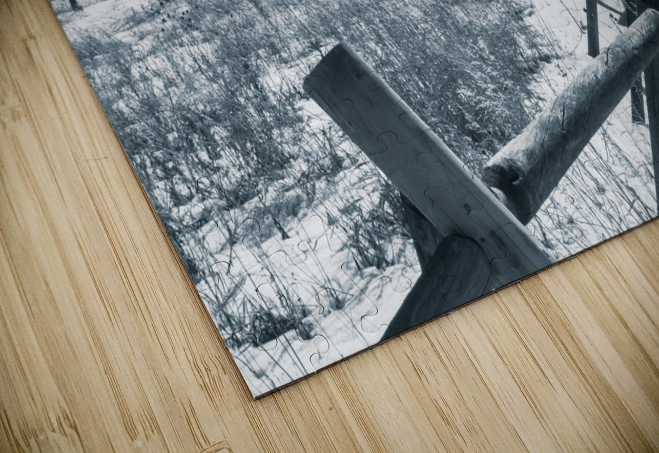 Chautauqua Chronicles: Fence in Winter Dream World Images Puzzle