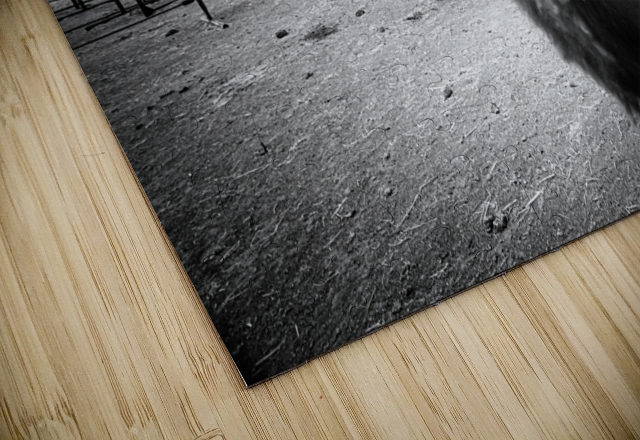 Hello: A Bison’s Surprise Greeting Dream World Images Puzzle