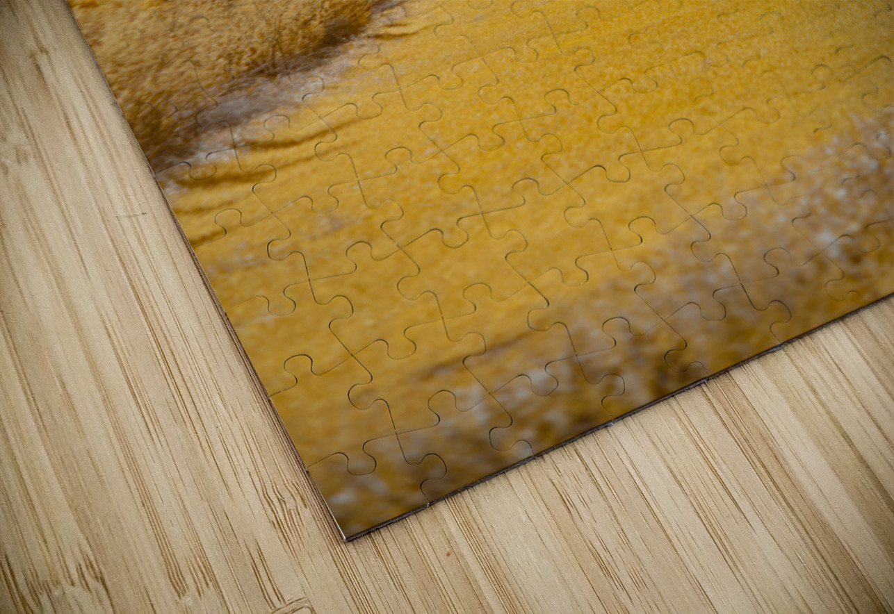 Nebraska Farm Lane - 3 Dream World Images Puzzle