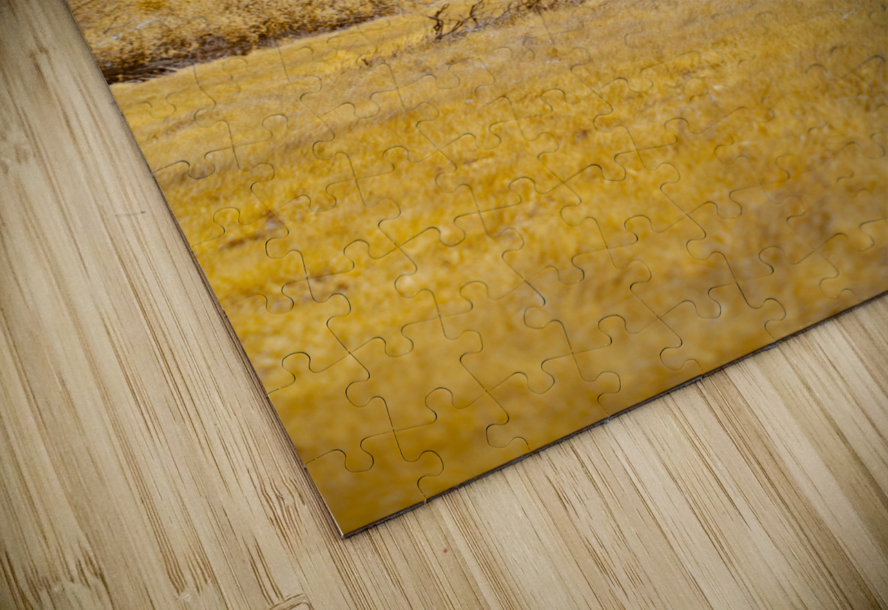 Nebraska Lone Tree - 1 Dream World Images Puzzle