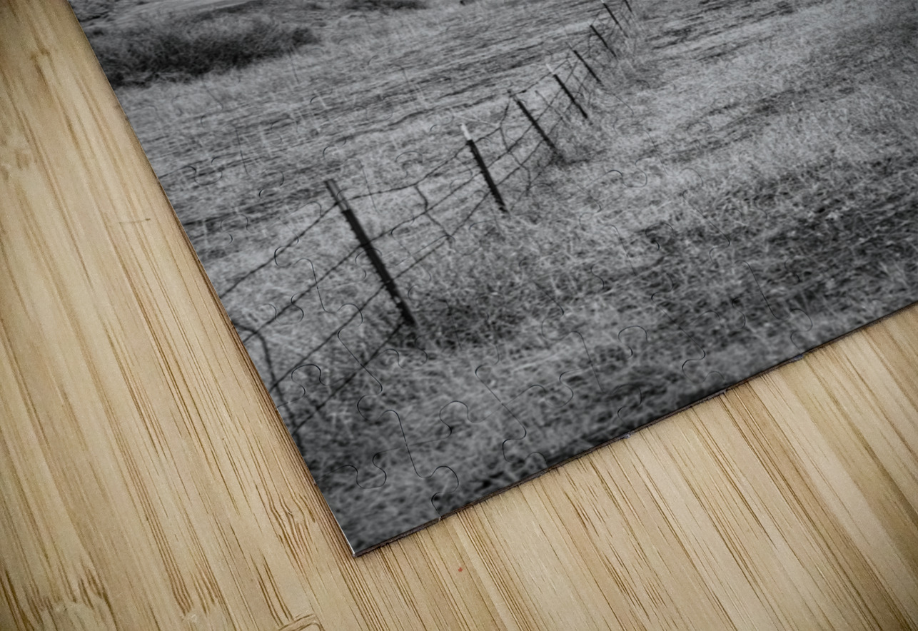 Whispers of Isolation in Monochrome Dream World Images Puzzle