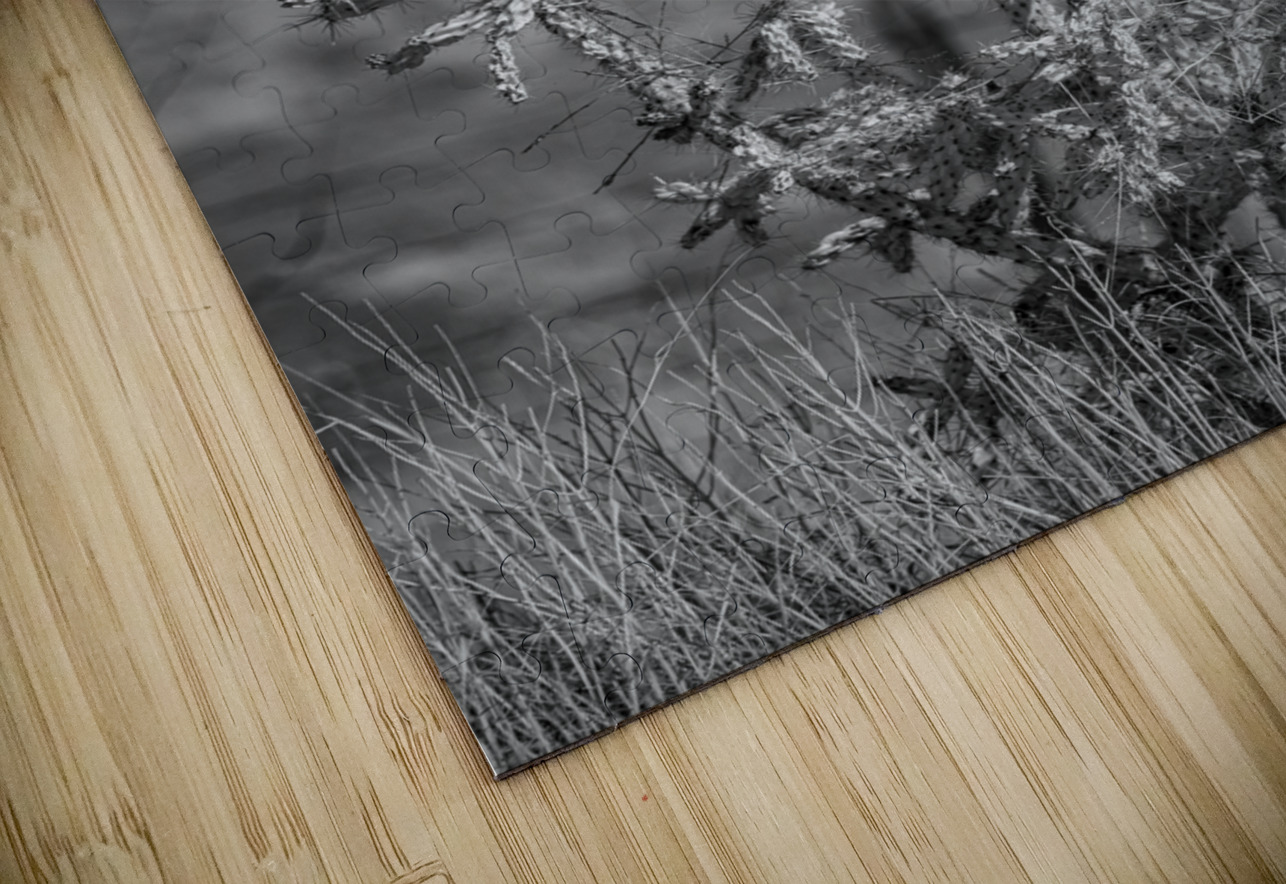 Solitude of Spine Dream World Images Puzzle