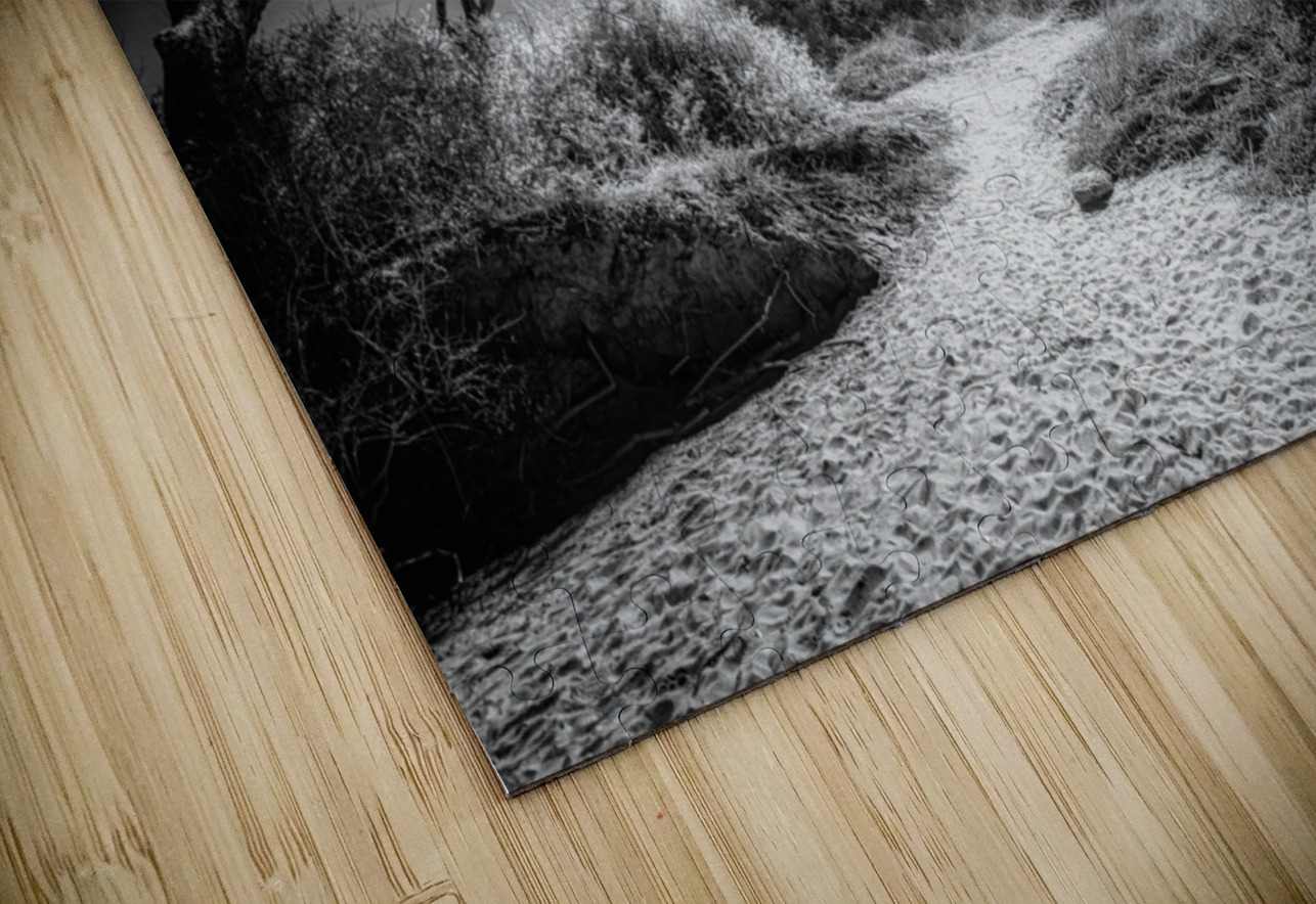 Island Path Dream World Images Puzzle