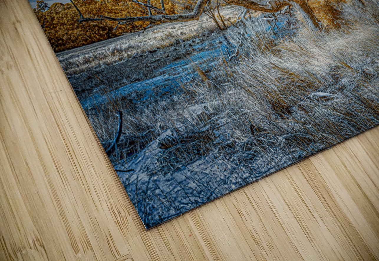 Isolated Serenity: Rows End Dream World Images Puzzle