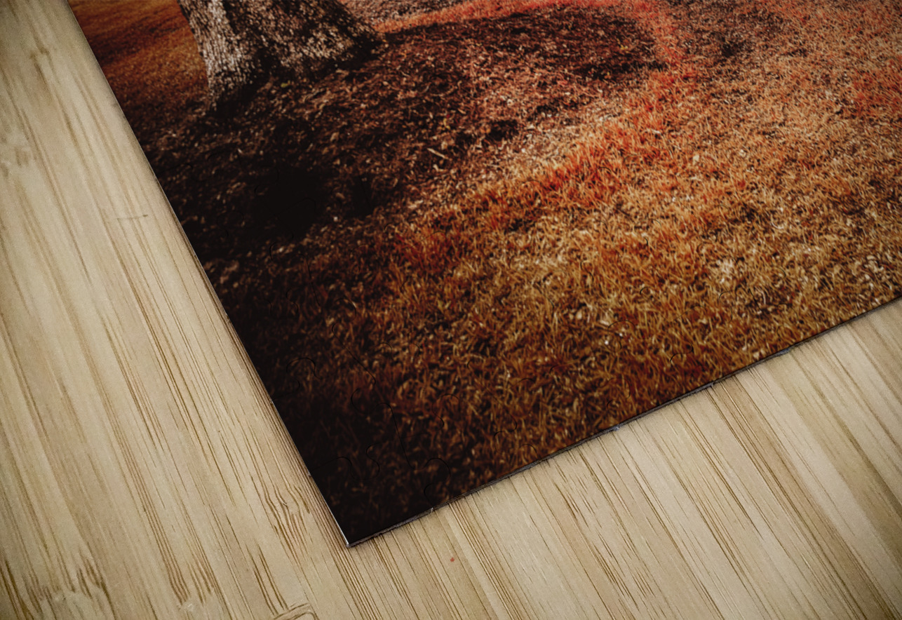 Crimson Avenue of Oaks Dream World Images Puzzle