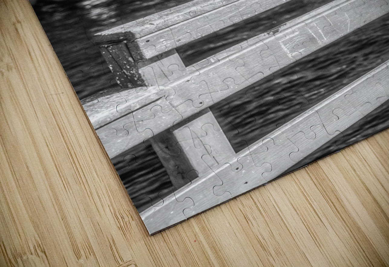 Oceans Guardian: Black and White Infrared Capture of Pelican on Saint Simons Island Pier Dream World Images Puzzle