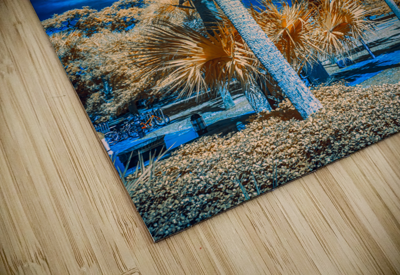 Neptune Park Oasis: A Pictorial Tale of Saint Simons Island Bliss Dream World Images Puzzle