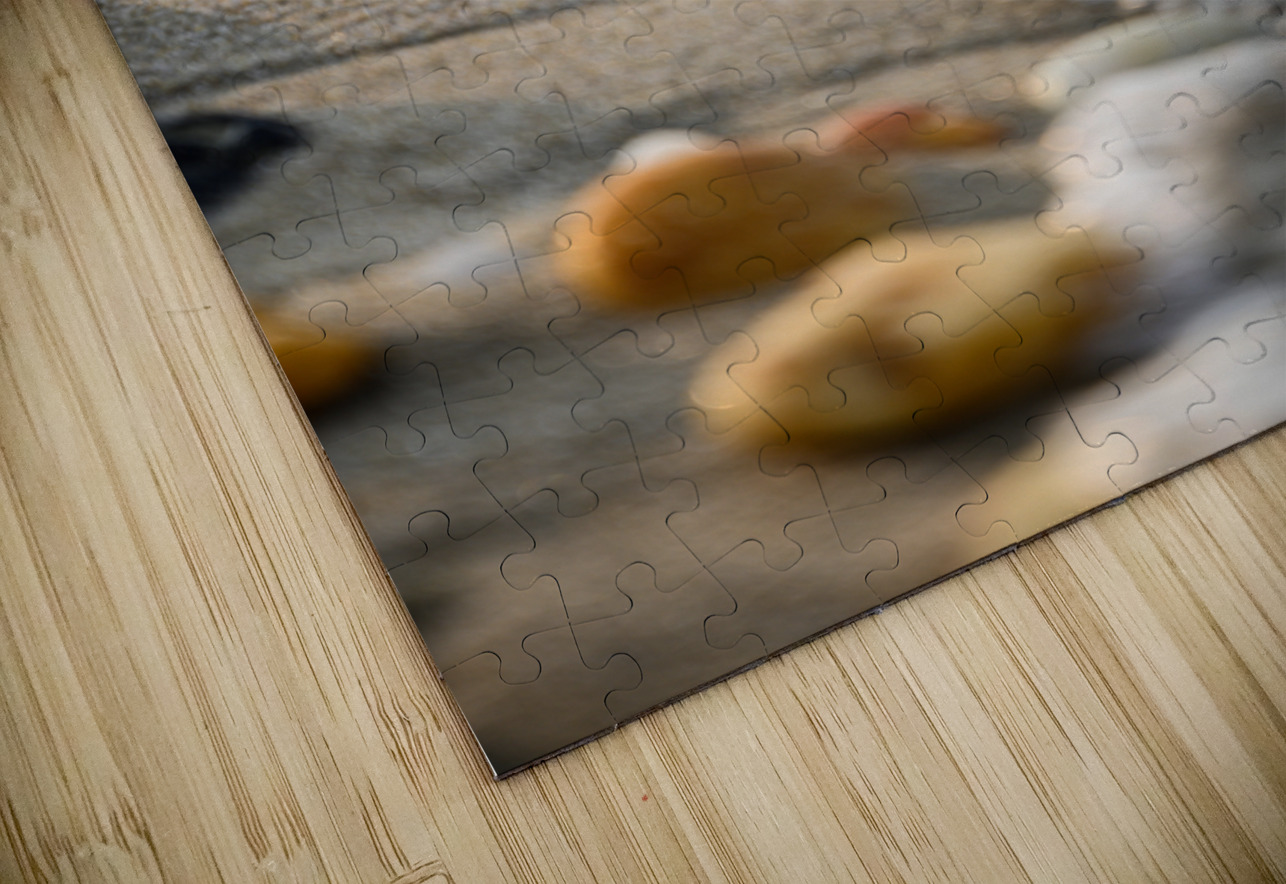 Slaughter Beach Serenity Dream World Images Puzzle