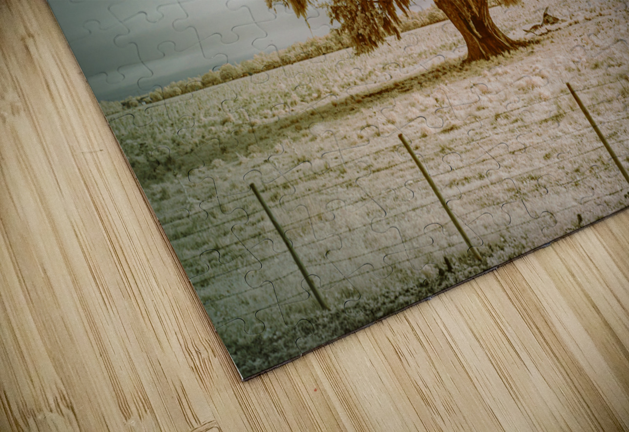 St Bernards Oak Dream World Images Puzzle