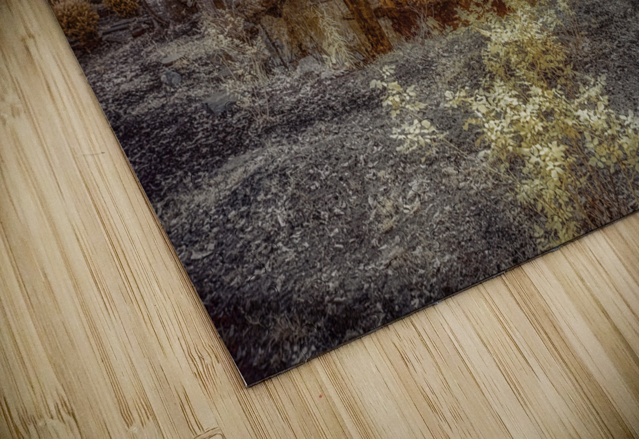 Louisiana Hunting Lodge Dream World Images Puzzle