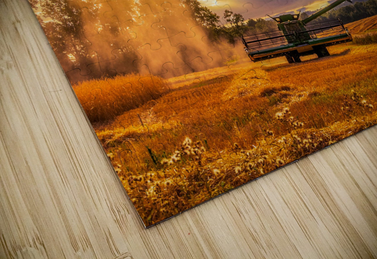 Harvest Dream World Images Puzzle