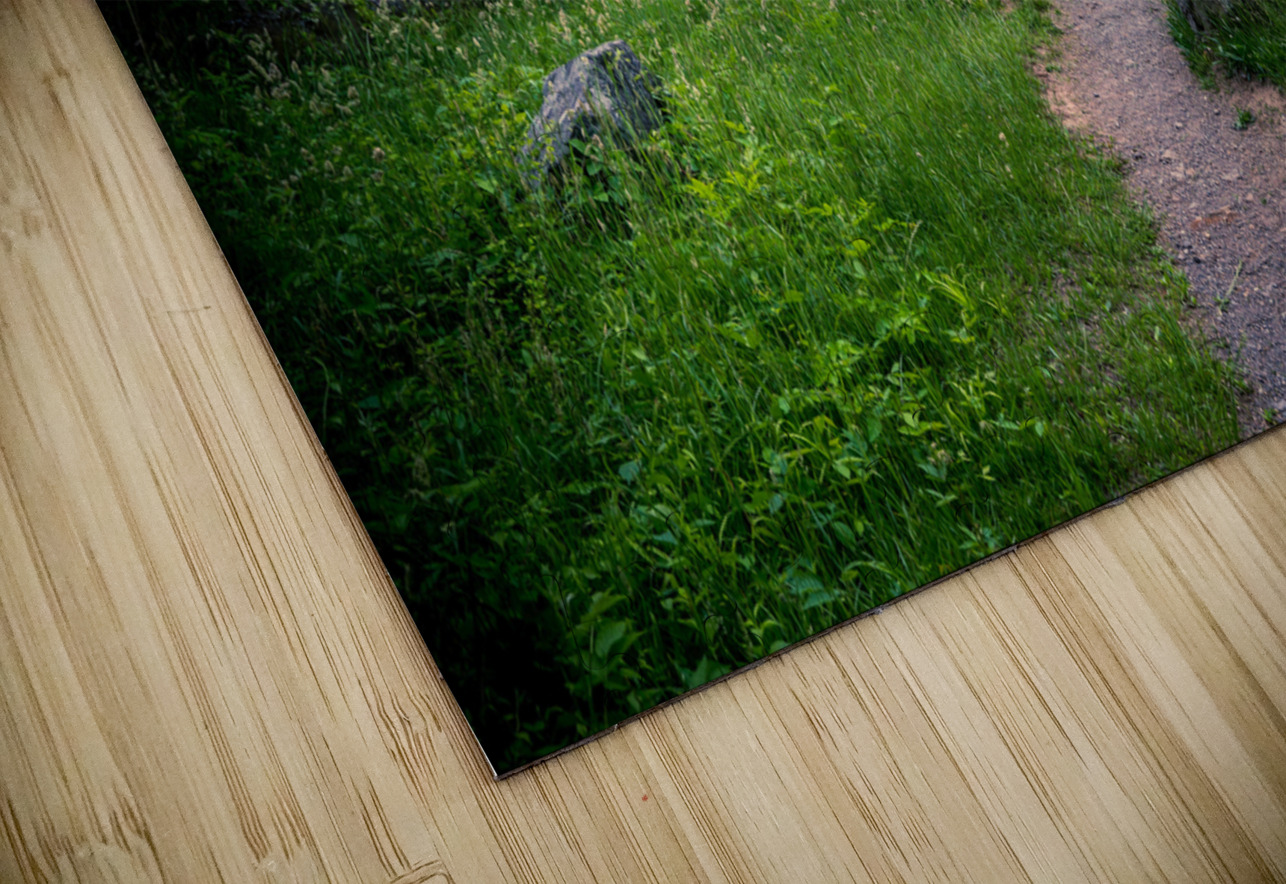 Solitude and Serenity: A Hike through Little Round Tops Enchanted Trail under the Brooding Storm Dream World Images Puzzle