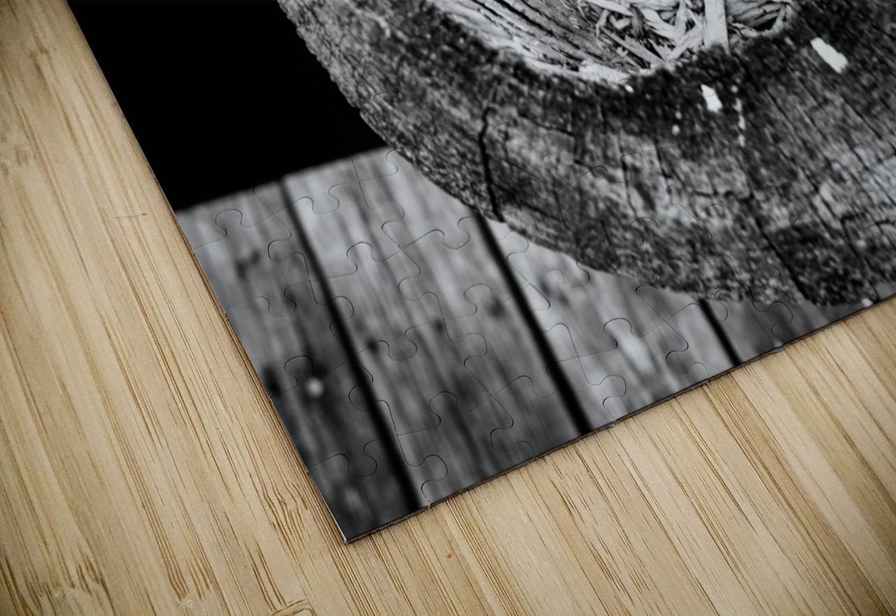 Echoes Within Wood Dream World Images Puzzle