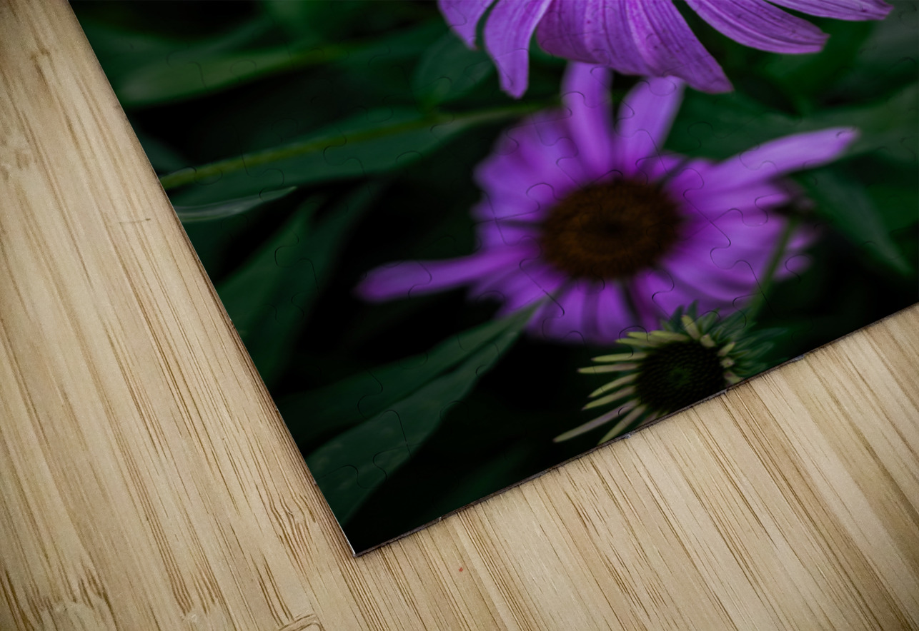 Loris Flowers - 4 Dream World Images Puzzle