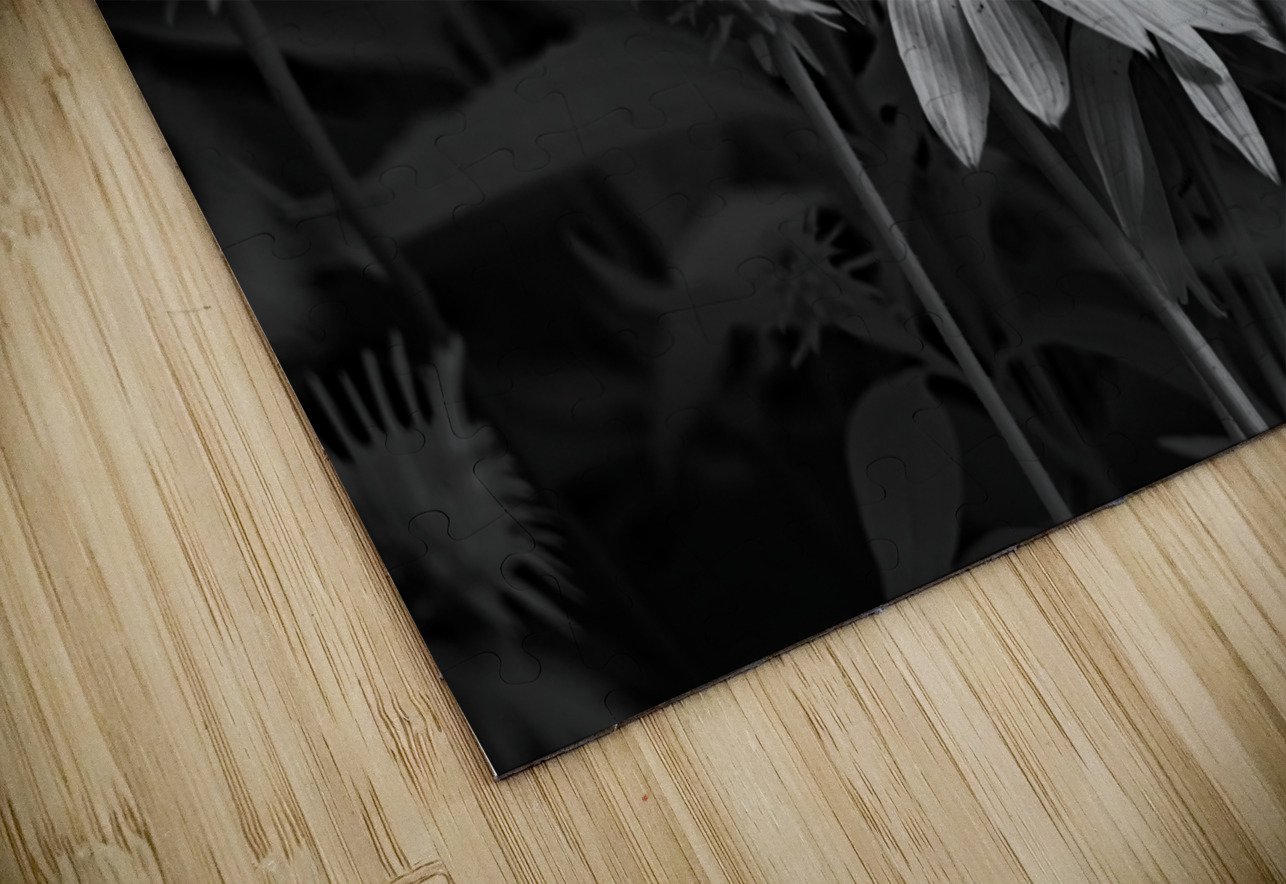 Loris Flowers - 3 Dream World Images Puzzle