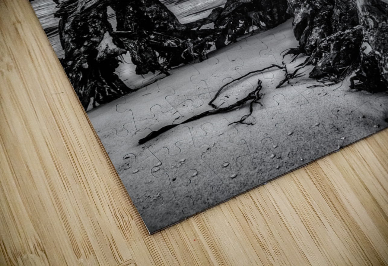 Rooted in Sand Dream World Images Puzzle