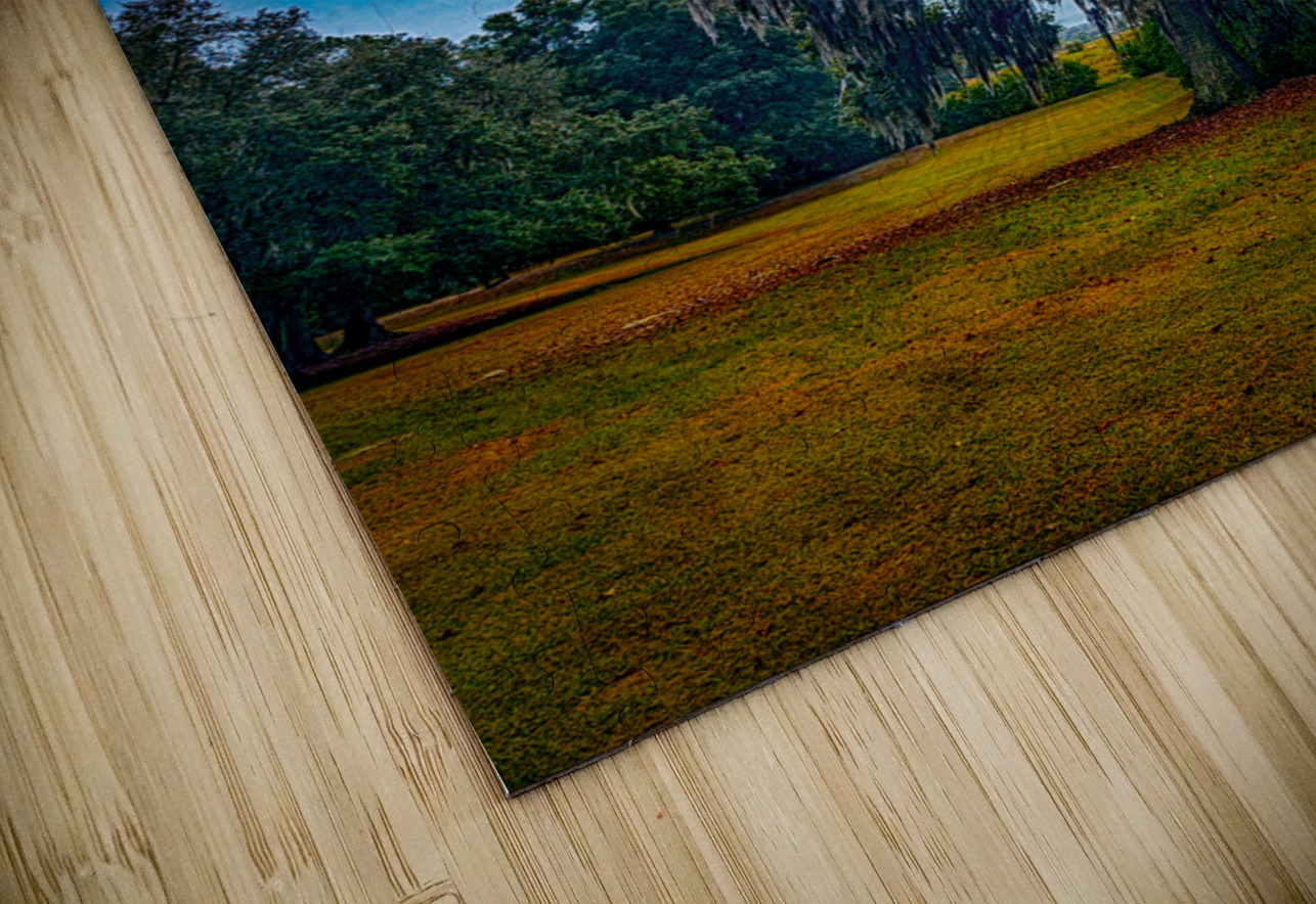 Southern Oak Storm Dance Dream World Images Puzzle