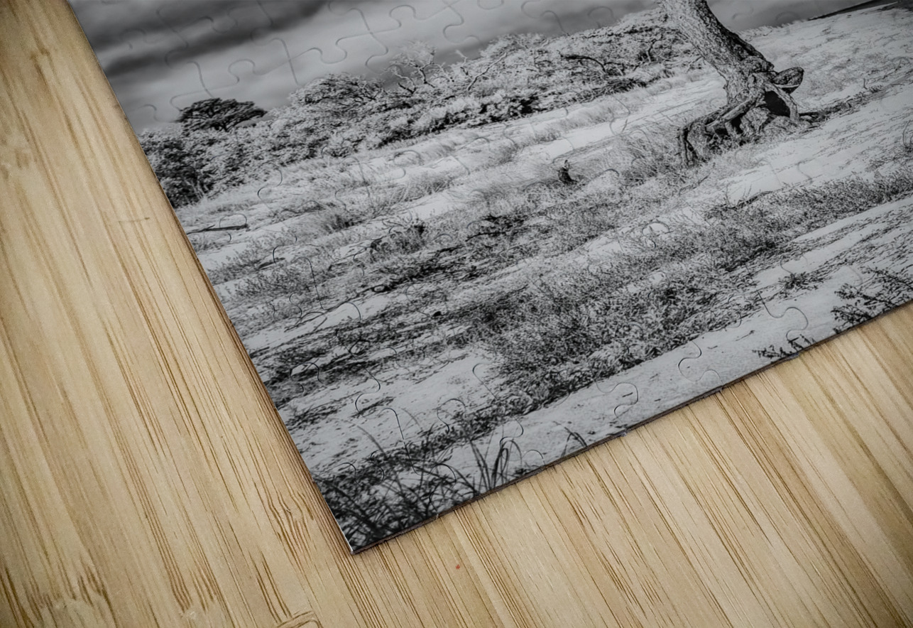 Alone and Lost Dream World Images Puzzle