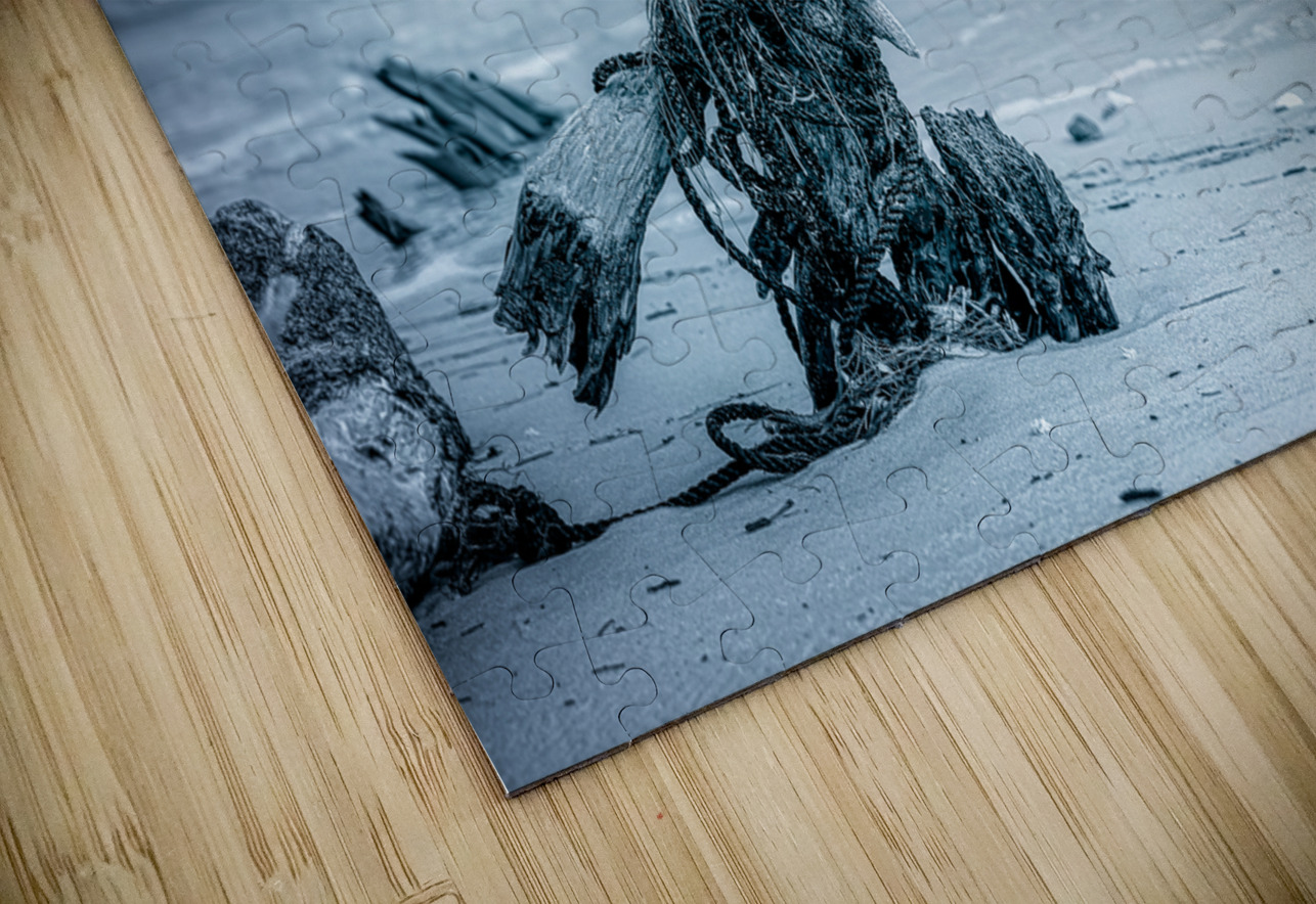 Oceans Driftwood Sentinel Dream World Images Puzzle