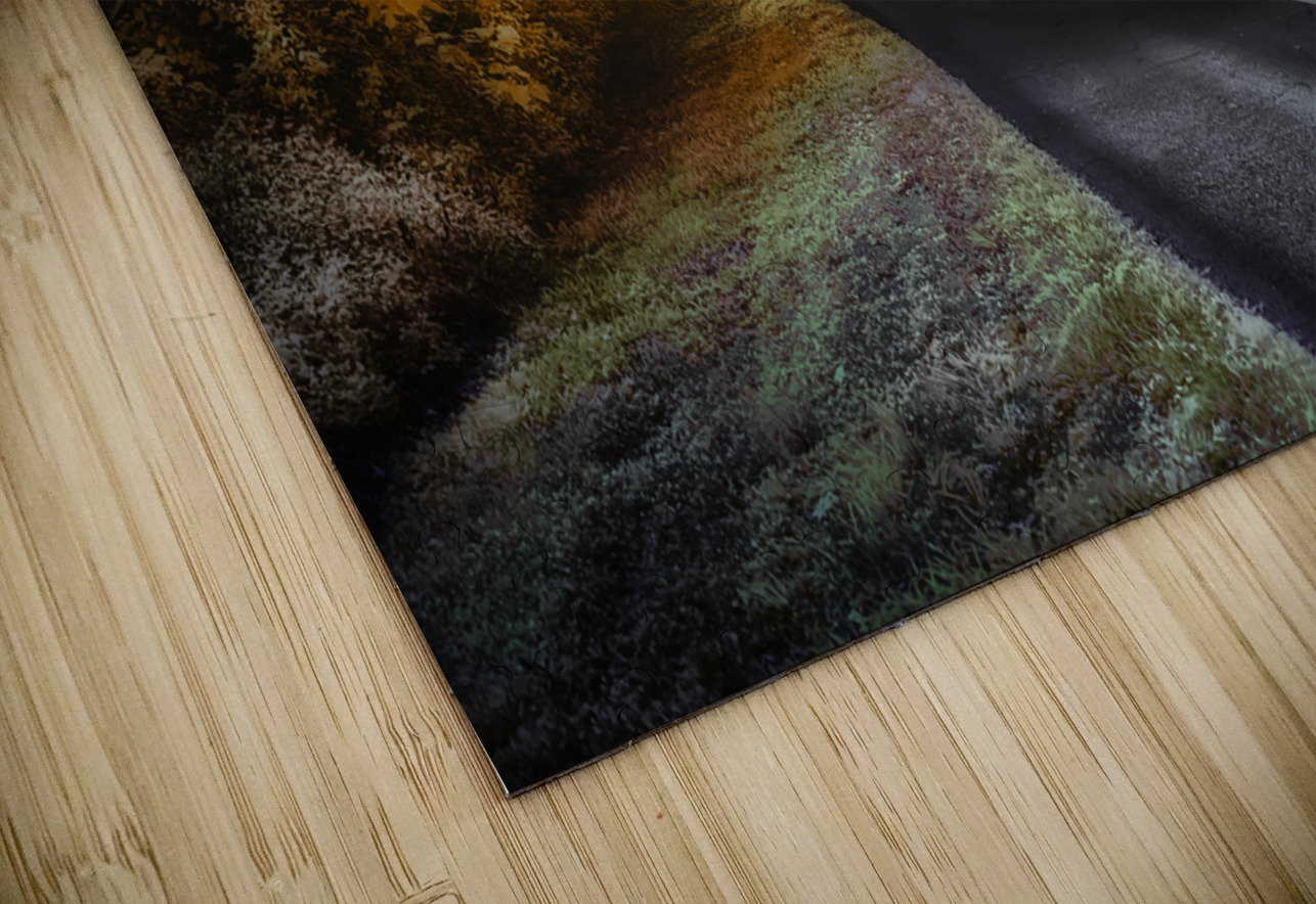 Ocala Secret: Infrared Curve Dream World Images Puzzle